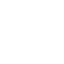 Alesh_Talent_2_icon.png