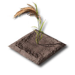 Amber_Rice_Plot.png