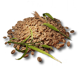 Amber_Rice_Seed.png