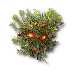 Buckflower.png