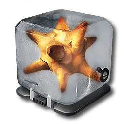 Chrysodendra_Tuber.png