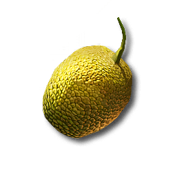 Citrome_Seed.png