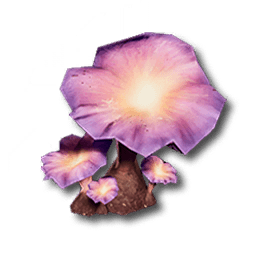 星門茸