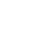 Estella_Talent_2_icon.png