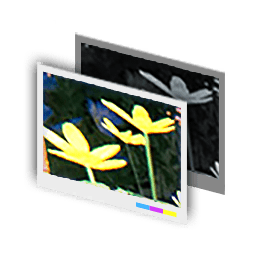 Filter_Bright (1).png