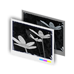 Filter_Monochrome.png