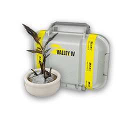 Originium_Saplings_(pkg).png