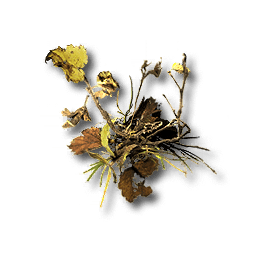 Plant_Matter.png