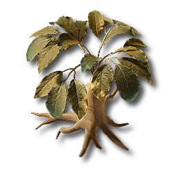 Redjade_Ginseng.png