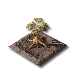 Redjade_Ginseng_Plot.png