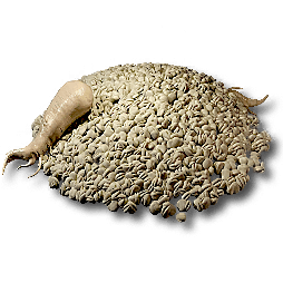 Redjade_Ginseng_Seed.png