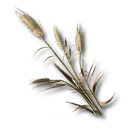 Reed_Rye.png