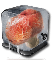 Ruby_Bolete_Mycelia.png