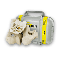 Seﾅ｡'qamam_Knucklebones_(pkg).png