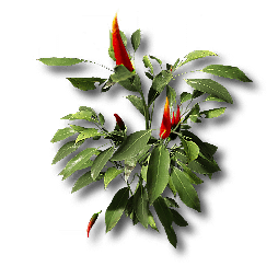 Tartpepper.png