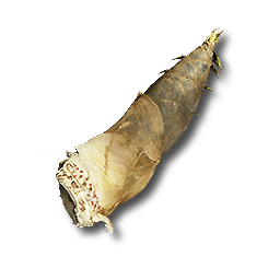 Young_Bamboo_Sprout.png